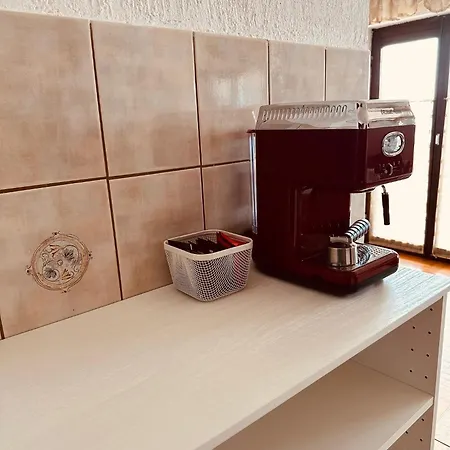 Double Olive In - Croatian Adriatic, Kvarner Bay *