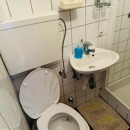 Double Olive In - Croatian Adriatic, Kvarner Bay *