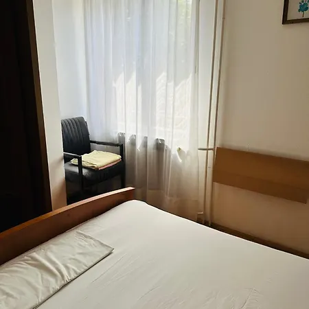 Double Olive In - Croatian Adriatic, Kvarner Bay *