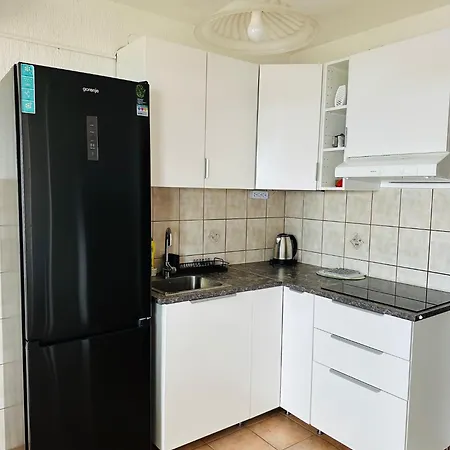 Double Olive In - Croatian Adriatic, Kvarner Bay ノヴィ・ヴィノドロスキー