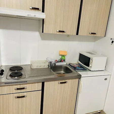 アパート Double Olive In - Croatian Adriatic, Kvarner Bay ノヴィ・ヴィノドロスキー